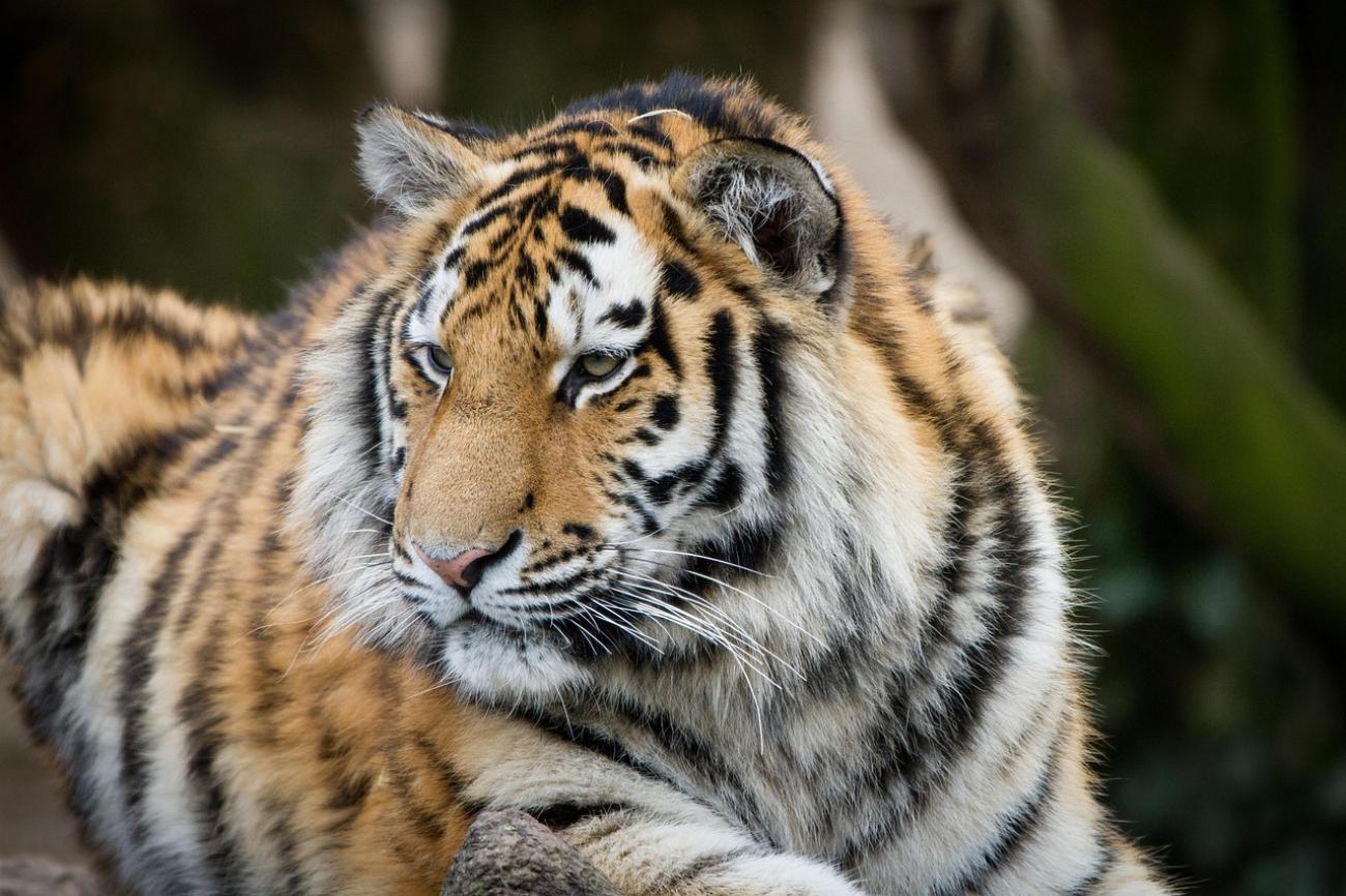 Weltreise in Riehl: Warum der Kölner Zoo (und das Aquarium) einen ganzen Tag wert ist