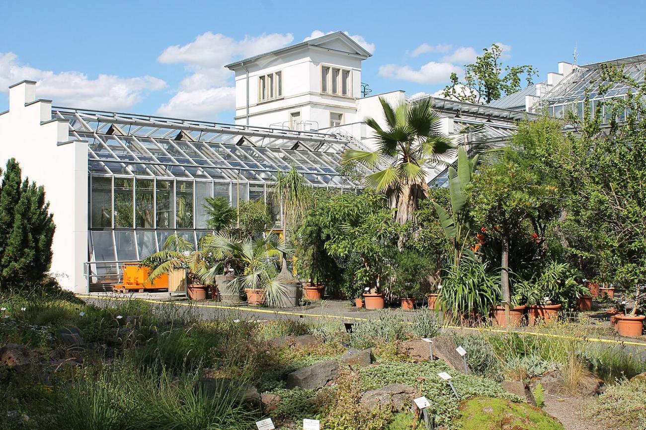 Botanischer Garten: Exotik pur im ältesten Heilpflanzengarten Deutschlands
