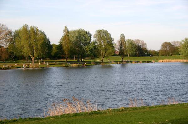 Werdersee: Wo Bremen die Picknickdecke ausrollt und der Alltag baden geht