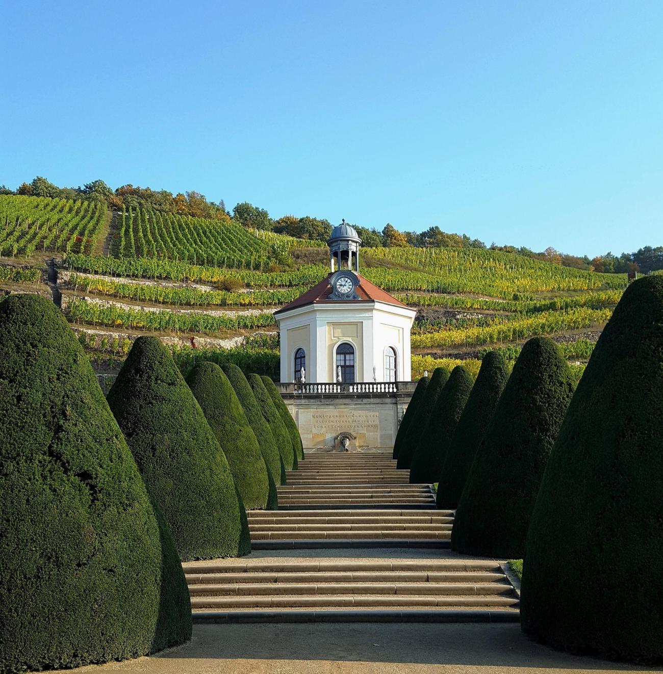 Weinwandern in Radebeul: Auf den Spuren der sächsischen Winzer durch die Weinberge